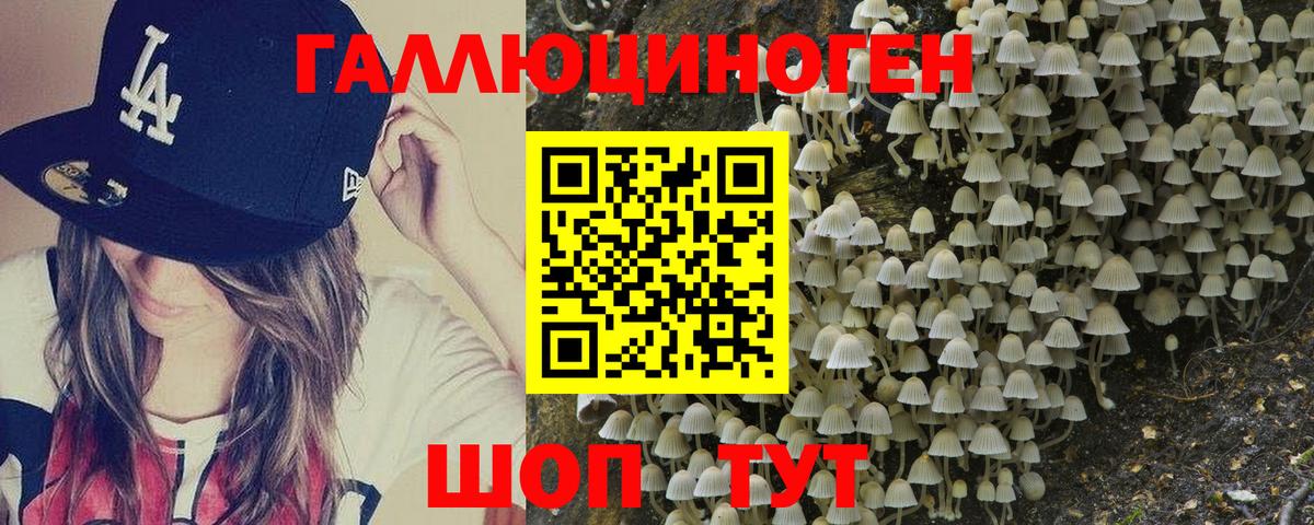 Псилоцибиновые грибы Magic Shrooms  Вход с VPN  Серпухов 